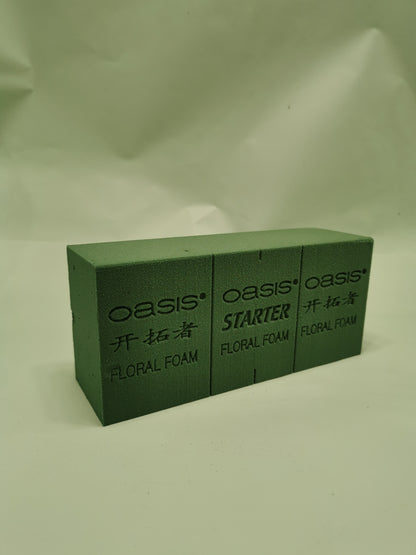 Oasis Floral Foam Bricks (Carton of 60)