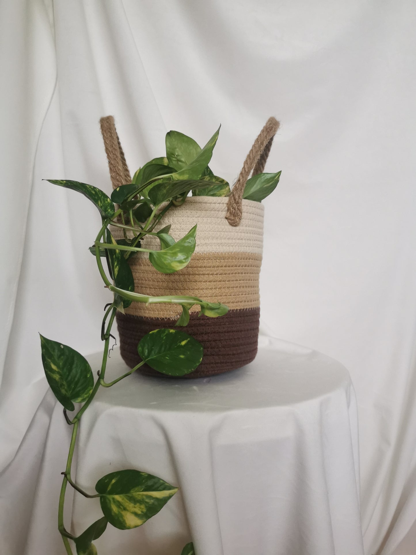 Neutral Handwoven Basket